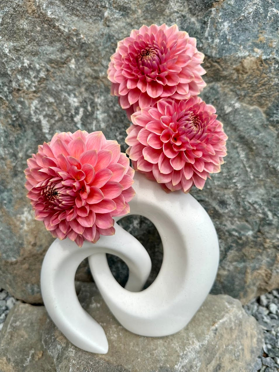 Dahlia Ask With Minnie