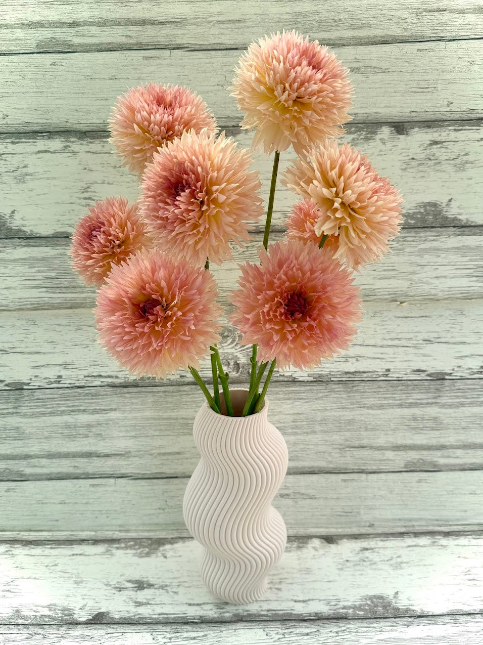 Dahlia Lakeview Peach Fuzz