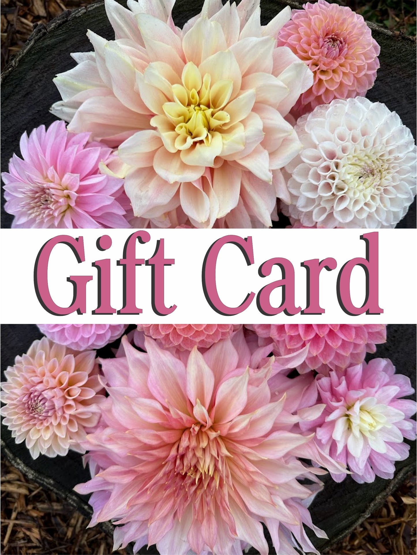 Mazeppa Acres Gift Card