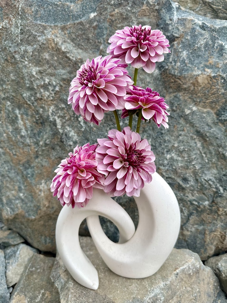 Dahlia Salish Twilight Girl