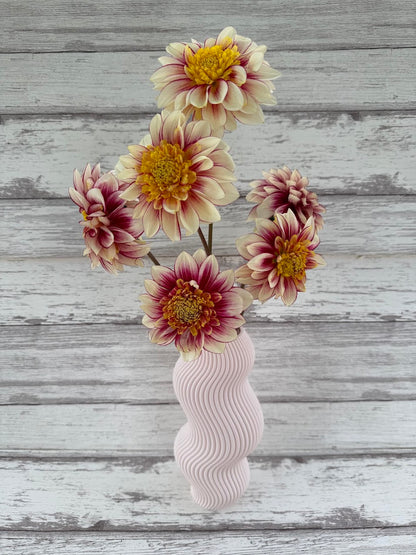 Dahlia Polka