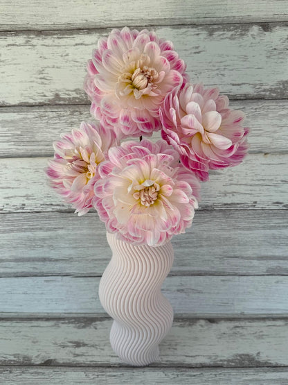 Dahlia Kelgai Ann (Limit 1)