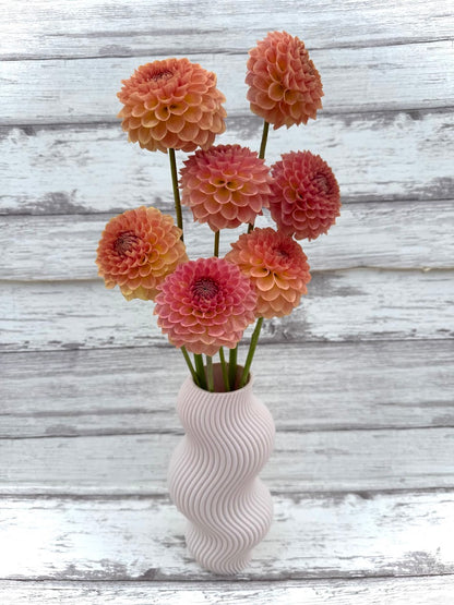 Dahlia 20th ave Softer Peach