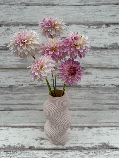 Dahlia Bloomquist Endlesession (Limit 1)