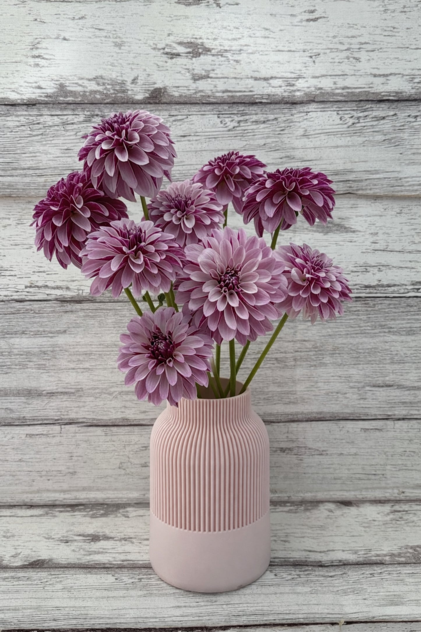 Modern Flower Vase - Cylinder - Lightweight & Waterproof (7")